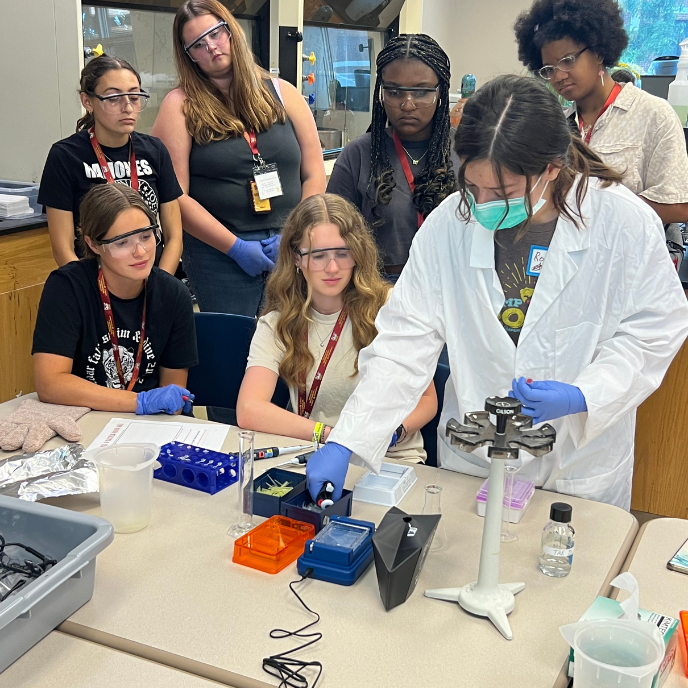 a group of student watching during a lab session